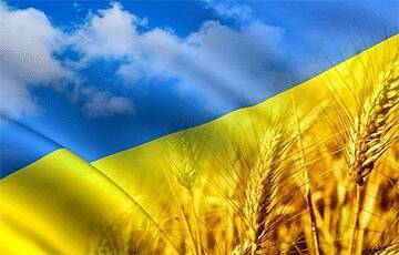 Роман Лещенко - Украина собрала рекордный урожай зерновых и масличных - charter97.org - Украина - Белоруссия
