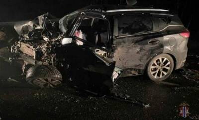 На трассе Тюмень – Омск в жестком лобовом ДТП погиб водитель иномарки