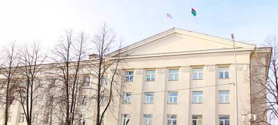 Парламент Карелии не смог внести изменения в Конституцию республики «под елочку»