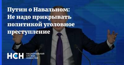 Путин о Навальном: Не надо прикрывать политикой уголовное преступление