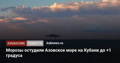 Морозы остудили Азовское море на Кубани до +1 градуса