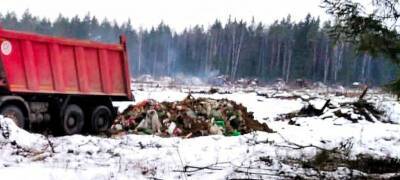 Свалку отходов животноводства обнаружили в Олонецком районе Карелии