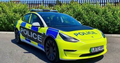 Полиция массово закупает электромобили Tesla: они имеют ряд преимуществ