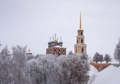 Депутаты поддержали перевод территории у Рязанского кремля в зону городских лесов