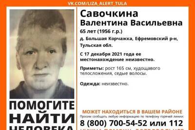 В Туле по-прежнему продолжается поиск 65-летней жительницы Ефремова
