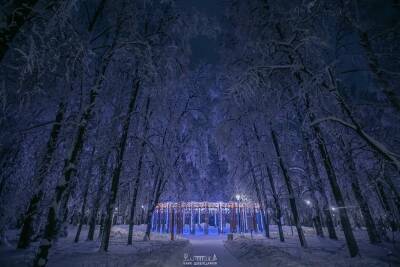 Парк «Швейцария» полностью откроют для нижегородцев 25 декабря - vgoroden.ru - Москва - Россия - Швейцария