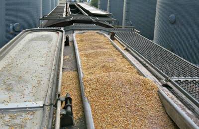 Скорость перевозок зерна по железной дороге упала до трехлетнего минимума
