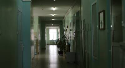 Мишустин выделил ковид-госпиталям Чувашии 176 млн рублей