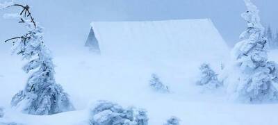 Снег и метель накроют Карелию 24 декабря