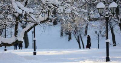 Синоптики предупреждают о сильном снегопаде — снежный покров к утру может увеличиться на 12 сантиметров