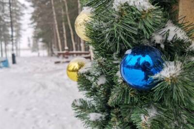 Из-за мороза в Казани перенесли открытие елок