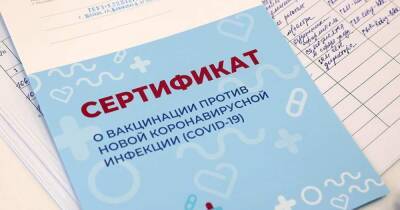 В Крыму отменили ковид-сертификаты для входа в ТЦ до 20 января