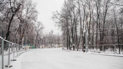 Каток с натуральным льдом «ГИГАНТ», хоккейная площадка и лыжные трассы начали работу в парке "Сокольники"