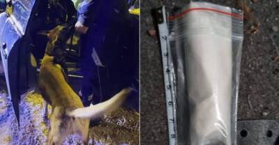 ВИДЕО. Полиция с собакой Нарко остановила ехавший "по встречке" авто и нашла в нем метамфетамин