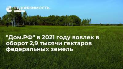 Компания "Дом.РФ" в 2021 году вовлекла в оборот 2,9 тысячи гектаров федеральных земель