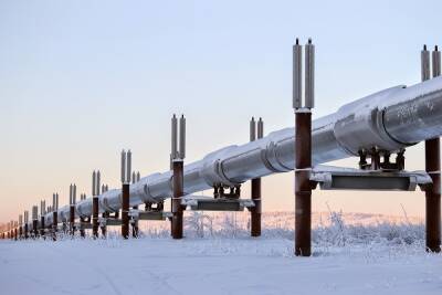 Названы сроки ввода в строй обеих ниток газопровода «Северный поток - 2»