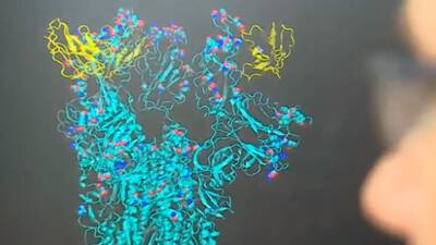Исследователи UBC впервые произвели анализ омикрон-штамма COVID-19 на молекулярном уровне
