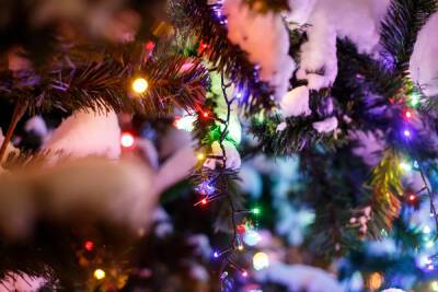«Зима в королевстве Сетомаа»: псковичей приглашают поучаствовать в новогодней программе