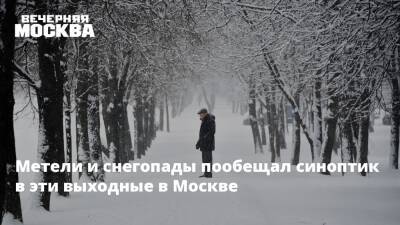 Метели и снегопады пообещал синоптик в эти выходные в Москве