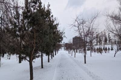 В пятницу в Красноярске ожидается -23 градуса мороза и гололедица