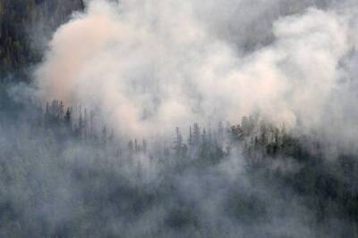 Лесные пожары испортят России переговоры по энергопереходу