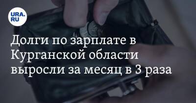 Долги по зарплате в Курганской области выросли за месяц в 3 раза