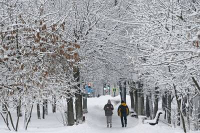 Оранжевый уровень опасности продлили в Московском регионе из-за мороза