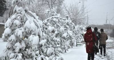 В Таджикистане ожидается похолодание, дождь, переходящий в снег