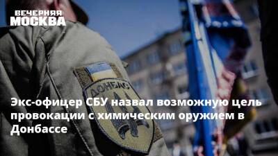 Экс-офицер СБУ назвал возможную цель провокации с химическим оружием в Донбассе