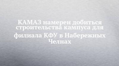 Ильшат Гафуров - КАМАЗ намерен добиться строительства кампуса для филиала КФУ в Набережных Челнах - chelny-izvest.ru - Набережные Челны - Камаз