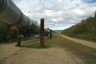 МИД РФ назвал политическими призывы Украины к продлению транзита газа