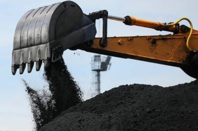 На Алтае возбудили уголовное дело из-за нехватки угля для жителей
