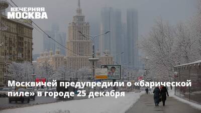 Евгений Тишковец - Москвичей предупредили о «барической пиле» в городе 25 декабря - vm.ru - Москва - Москва