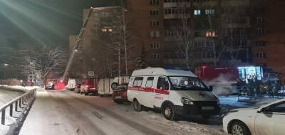 В Ижевске при пожаре на улице Наговицына погибли дедушка и внук