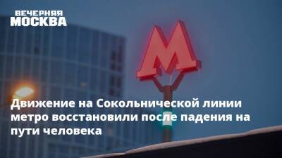 Движение на Сокольнической линии метро восстановили после падения на пути человека