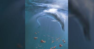 В США обнаружили останки морского чудовища размером с кита