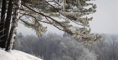 Снег, гололедица и до -14°С ожидается в Беларуси 24 декабря