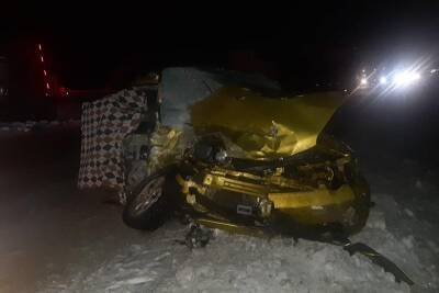 В Курганской области в ДТП на трассе погибли два человека