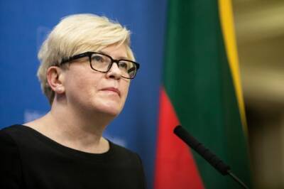 Премьер Литвы: встречи с представителями "Беларуськалия" не происходили