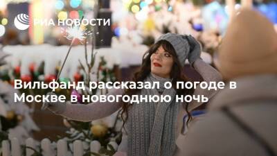 Глава Гидрометцентра Вильфанд: в Москве в новогоднюю ночь ожидается потепление