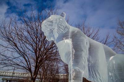 Скульптура Водяного Тигра украсила ледовый городок Новосибирска