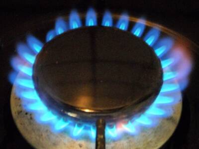 Новак допустил сохранение максимальных цен на газ в 2022 году