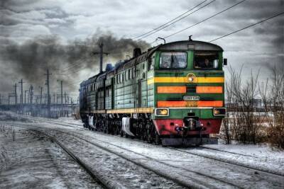 В Псковской области поезд врезался в стадо коров