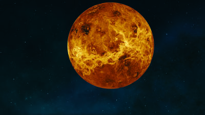 На палящей Венере могут проживать живые организмы