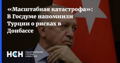 «Масштабная катастрофа»: В Госдуме напомнили Турции о рисках в Донбассе