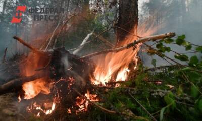 Тюменская область признана наиболее пострадавшим от лесных пожаров регионом УрФО