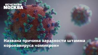 Названа причина заразности штамма коронавируса «омикрон»