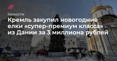 Кремль закупил новогодние елки «супер-премиум класса» из Дании за 3 миллиона рублей