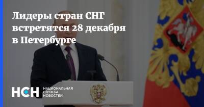 Лидеры стран СНГ встретятся 28 декабря в Петербурге