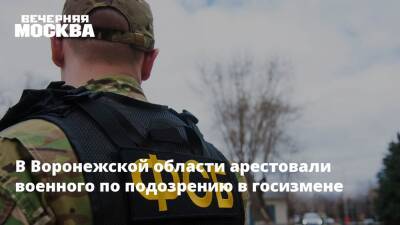 В Воронежской области арестовали военного по подозрению в госизмене